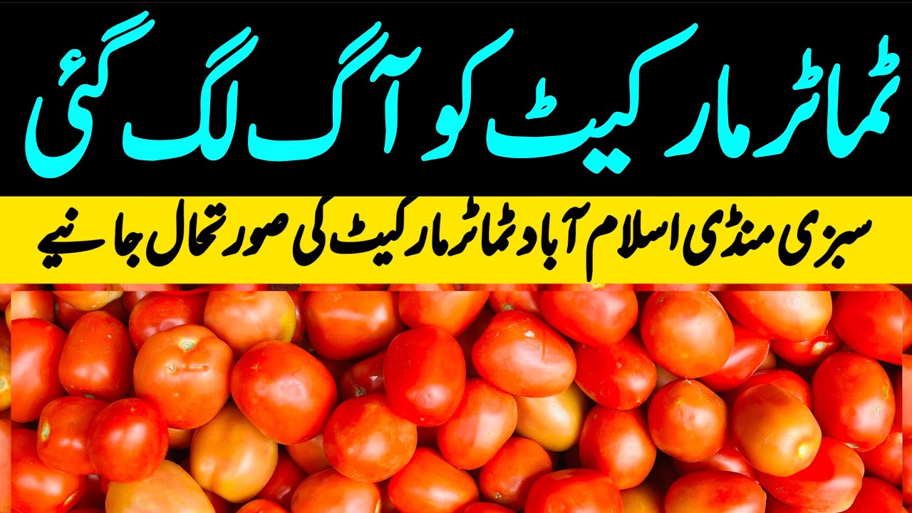 Tomato Become Expensive 🔥🔥| 27 January 2026 | ٹماٹر مارکیٹ مہنگا ہوگیا | Sabzi Mandi Islamabad 