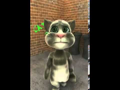 Kucing Pintar  FunnyCat.TV