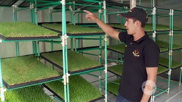 Establecimiento de una huerta hidropónica - Parte 2 | La Finca de Hoy