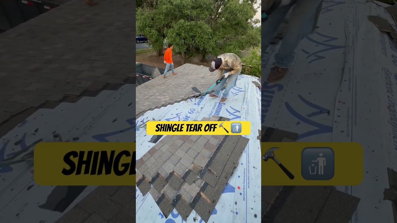 Shingle tear off 🔨 🚮 