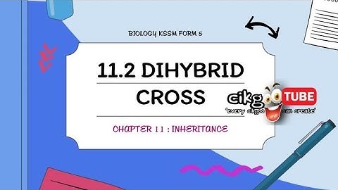 BIOLOGY KSSM FORM 5 : 11.2 DIHYBRID INHERITANCE