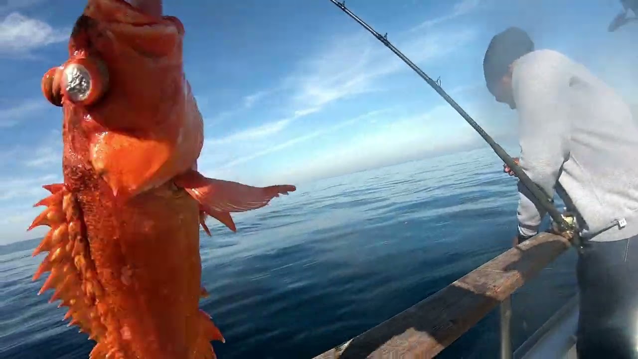 Aloha Spirit 11-11-24 Awesome Rock Fishing and Lingcod