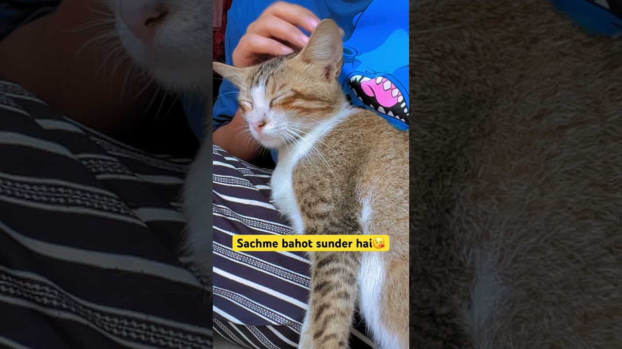 Sunder ladki🩷😍 