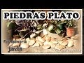 CÓMO HACER PIEDRAS PLATO PARA TU JARDÃN
