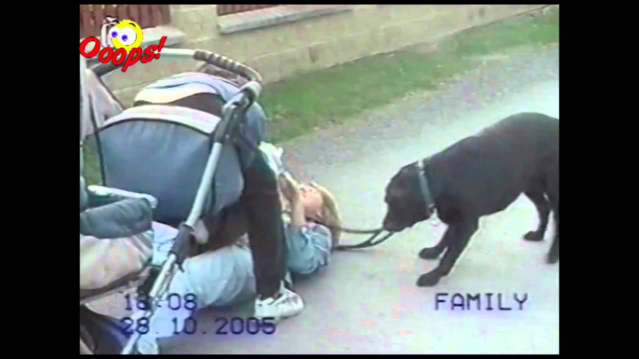 Top 50 Funniest Videos at home (by SoulTv)