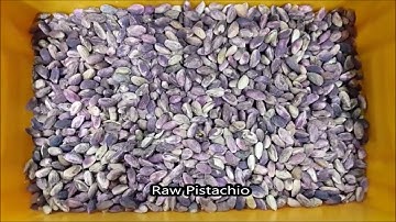 Pistachio (Unshelled) Color Sorting - IGSP ISORT KOREA