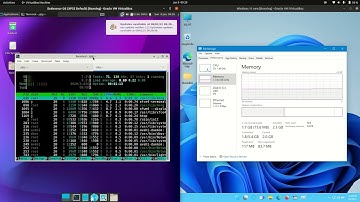 Endeavour OS vs Windows 11: RAM