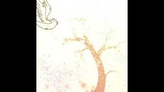 kutipan kata kata bijak krishna ( mahabharata)