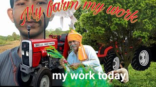 My Farme My Work Dasi Vlog
