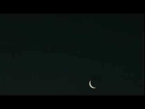 Luna de Miel Entre tus manos~Virus~Letra