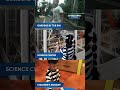 Dukung Eksplorasi Sains Terbaik Untuk si Kecil