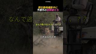 野生動物撮影中に予想外の訪問者たち