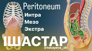 картинка: Ішастар Peritoneum 1 бөлім