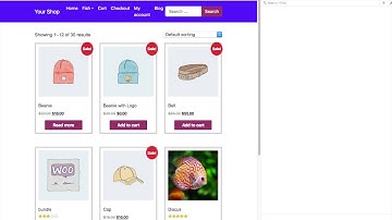 Tutorial - Custom Add To Cart Notification Using Jquery & Ajax Part 1