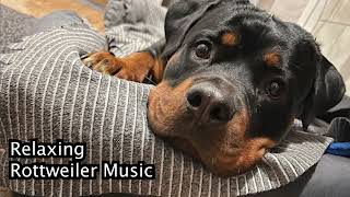 Relaxing Rottweiler Dog Music! Relaxing Music Specially to Relax Rottweilers! screenshot 3