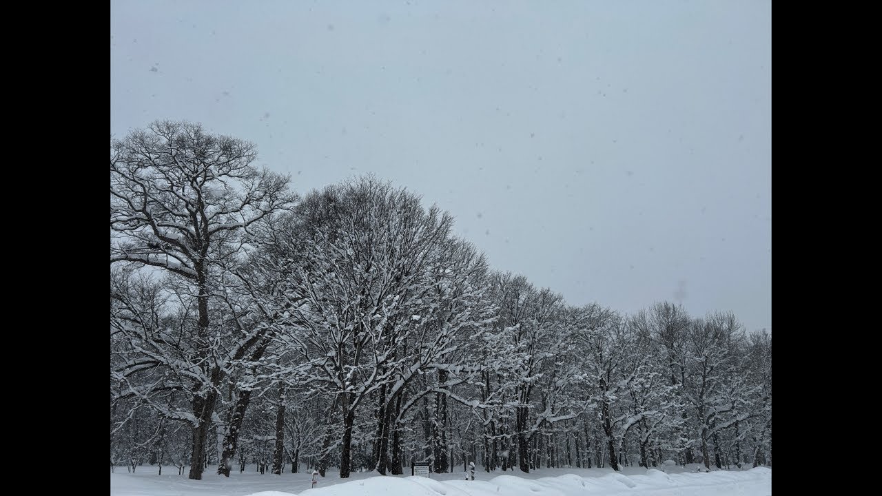 カレイを釣りたい‼️🌈雑談＆緊急人生相談🈁北海道釣りライフ がライブ配信中！