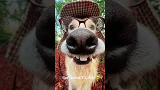 DOG COMEDY pt 1#funny#dogs#ytshort#fypシ