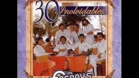 Los Fredys.. Porque no fui tu amigo nadamás