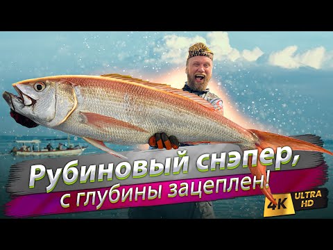 🇮🇩 Deep ocean fishing for Ruby Snapper. What we can fishing in Bali?