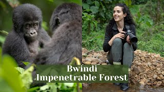 BUCKET LIST TRIP: Gorilla Trekking in Uganda’s Bwindi Impenetrable Forest with Vivo Barefoot