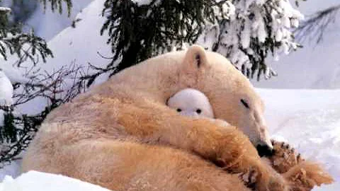 Angels Lullaby: song by Asha (Dennis Quinn)