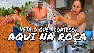 Cheguei na roça tava tudo revirado!veja como foi pra fazer a organização 