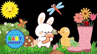 Soothing Baby Sensory with Cute & Happy Spring Animals