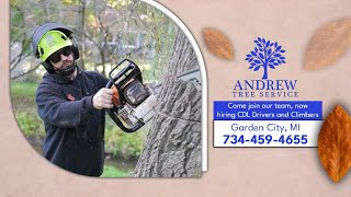 Andrew Tree Service