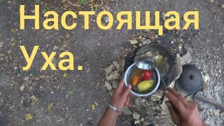 Уха из окуня. Самая вкусная уха.