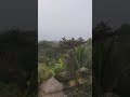 #nature