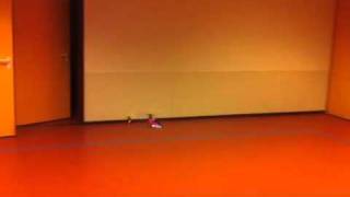 Hovering mCPX