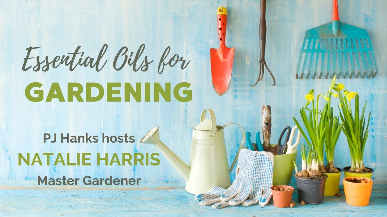 How To Use Essential Oils In The Garden
