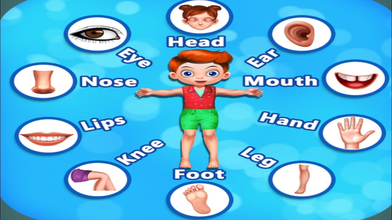 Body parts Name!! Name of Body parts!! Body parts Learning for