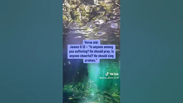 #TheDonkeysVoice #Investigation #Investigates #ChristianHiphop #News #CurrentEvents #Politics