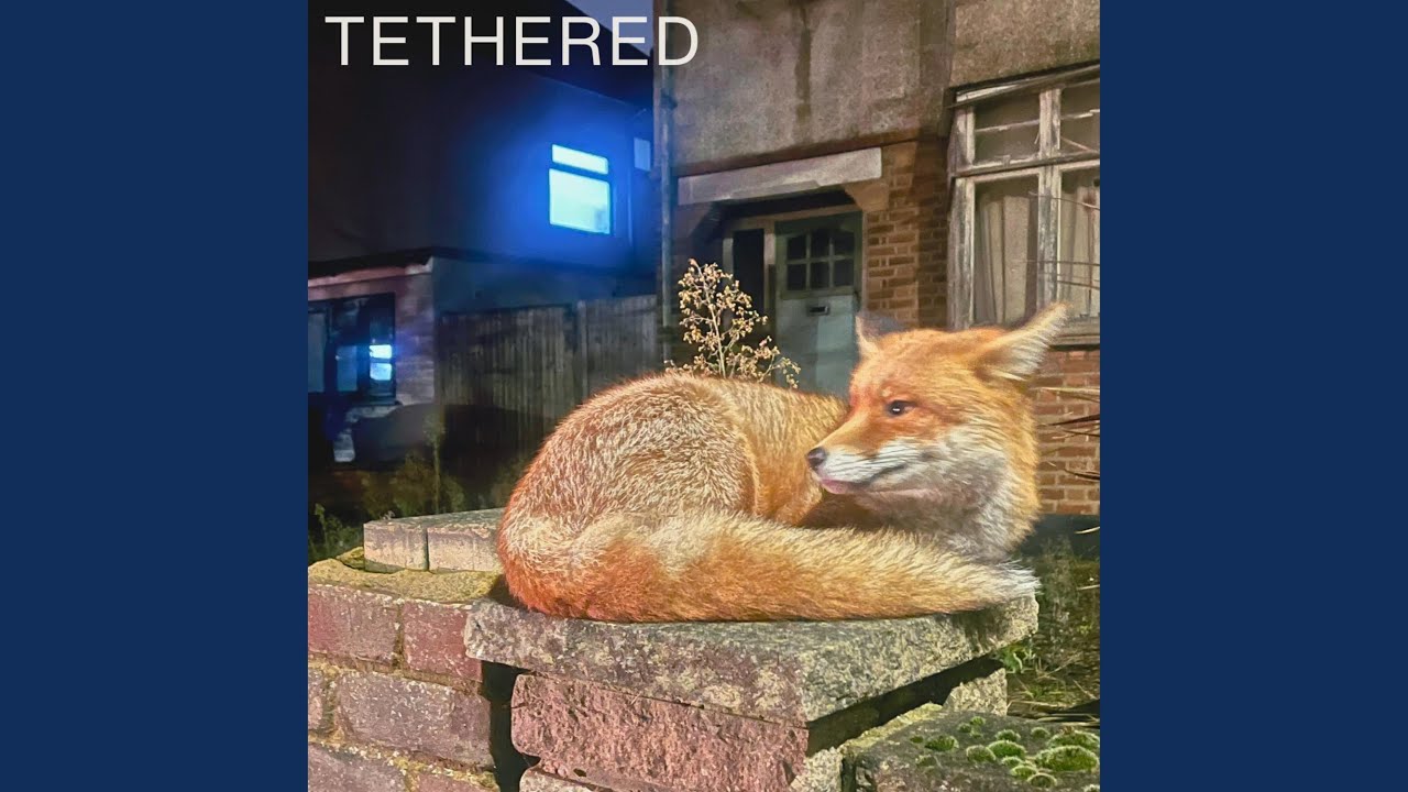 Watch Tethered on YouTube Watch Tethered on YouTube