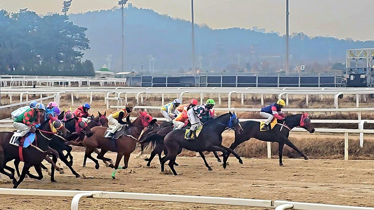 이름처럼 달리더라구요. "프라임"크라운 경주 복귀 전 주행심사