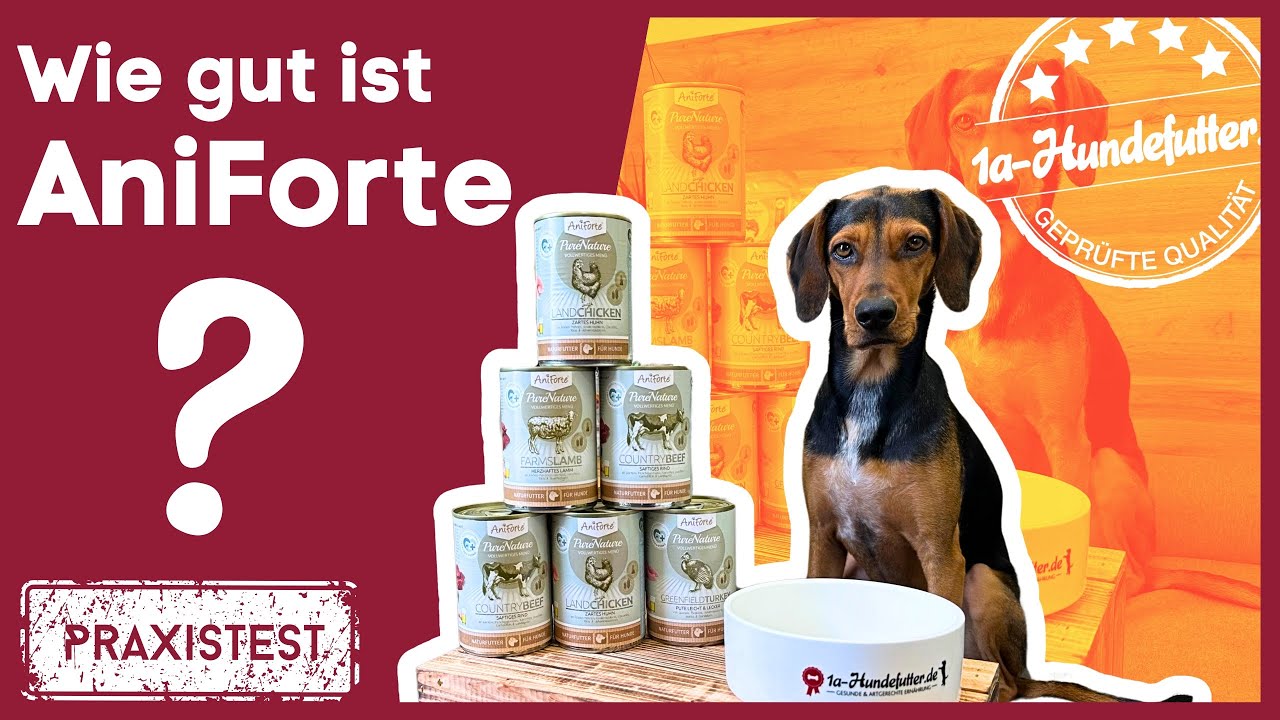 ANIFORTE Hundefutter Test [Erfahrungen mit AniForte Nassfutter]