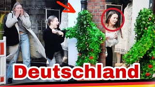 bester Buschmann prank