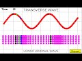 TRANSVERSE AND LONGITUDIONAL WAVES | ANIMATION OF TRANSVERSE AND LONGITUDIONAL WAVES | O LEVEL