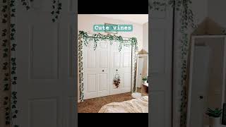 Vines Are So Cute I Got Them A While Ago And They Are Still So Pretty