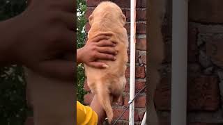 Httpsyoutube45ngz9h6r9asiir7lc05j8fyxp61n