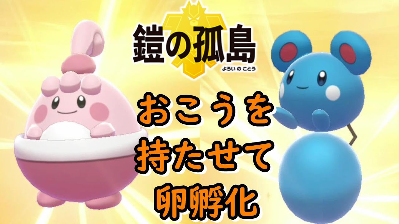 おこうを持たせて卵孵化 ルリリ ピンプク をゲット 鎧の孤島 ポケモン剣盾 ソード シールド Pokemon Sword And Shield Youtube