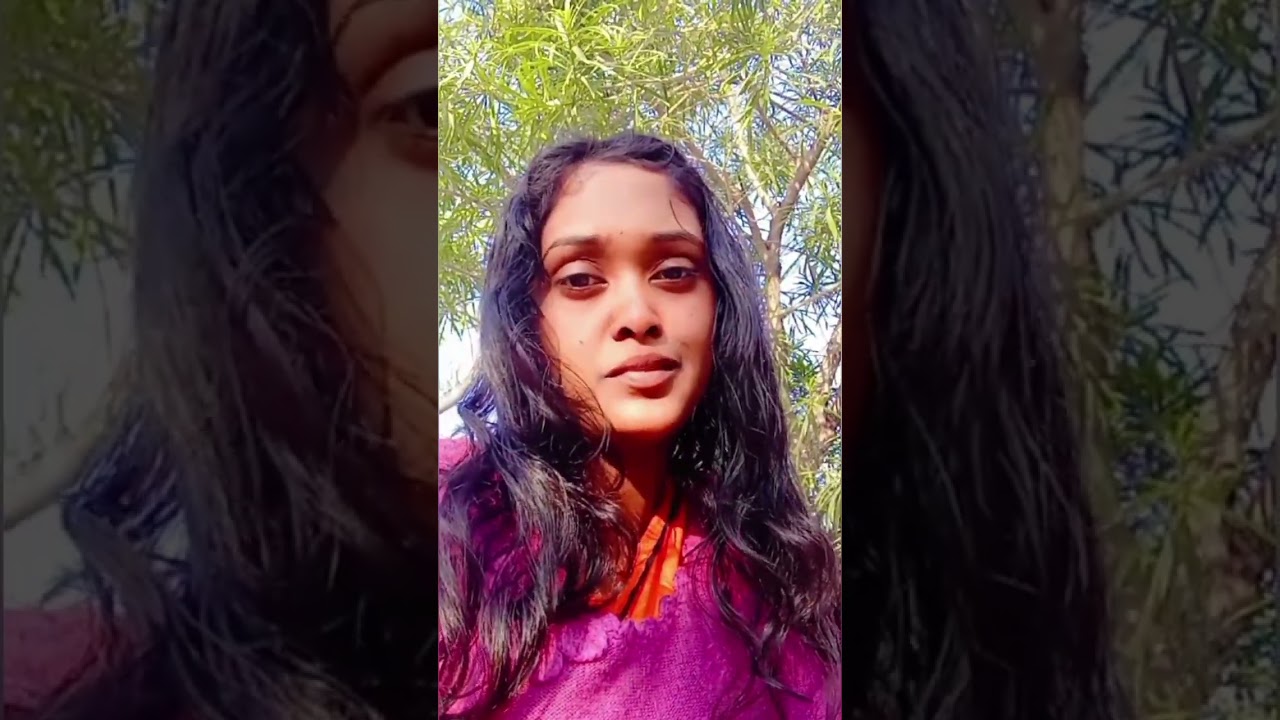 Low Energy, warm Sunlight, and small Paws 🐾