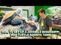How to set up a juvenile Mississippi Map turtle BioActive aquatic tank