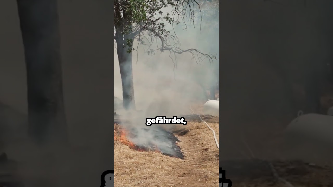 Regionen mit viel Waldbränden 