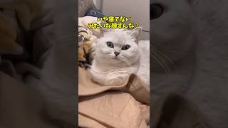 瞬きしてる暇もございません♥