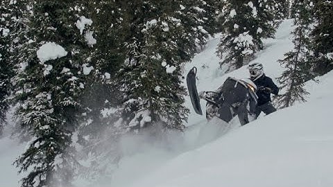 Tree Riding with Finesse