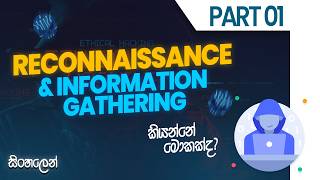 Ethical Hacking Sinhala Day 4 | ping & nslookup Explained (Network Basics for Beginners)