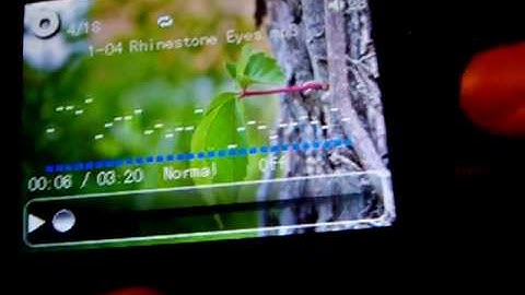 Dingoo Firmware Woes