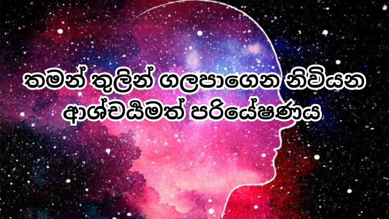 තමන් තුලින් ගලපාගෙන නිවියන ආශ්චර්‍යමත් පරියේෂණය.